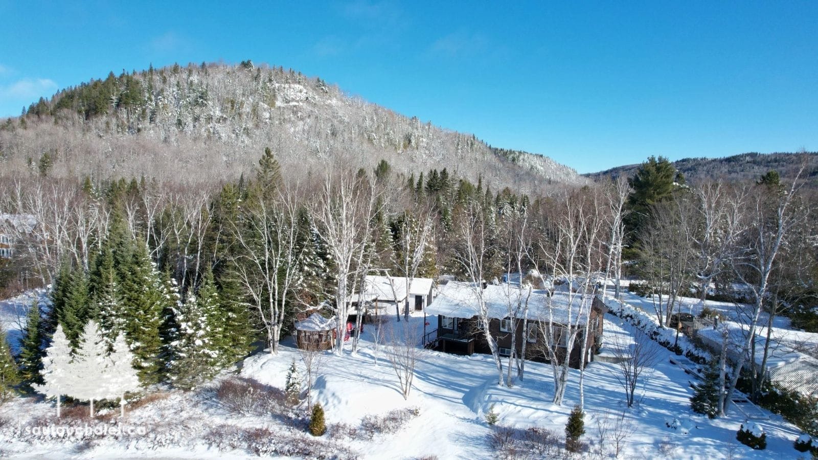 Le Bouleau - Hiver